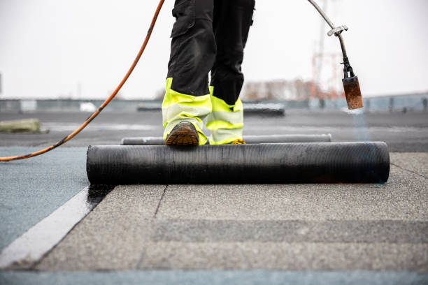 Best Skylight Installation and Repair  in Opa Locka, FL